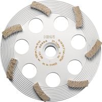 Diamantový brusný hrnec SPX pro odstraňování nátěrů (pro DG/DGH 150) Vysoce kvalitní diamantový brusný hrnec pro diamantový brousící stroj DG/DGH 150, k odstraňování všech typů tenkých povrchových vrstev, jako například nátěrů a lepidel