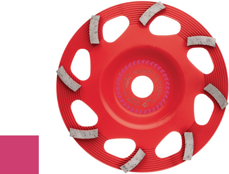 Diamantový brusný hrnec SPX pro odstraňování nátěrů (pro DG/DGH 150) Vysoce kvalitní diamantový brusný hrnec pro diamantový brousící stroj DG/DGH 150, k odstraňování všech typů tenkých povrchových vrstev, jako například nátěrů a lepidel